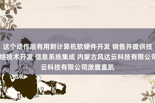 这个动作能有用刺计算机软硬件开发 销售并提供技术服务 网络技术开发 信息系统集成 内蒙古风达云科技有限公司激腹直肌