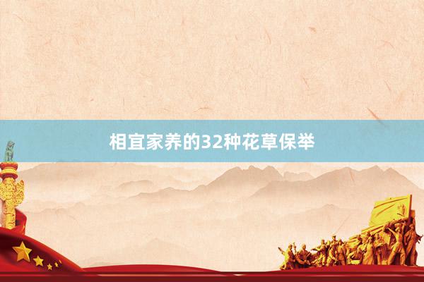 相宜家养的32种花草保举