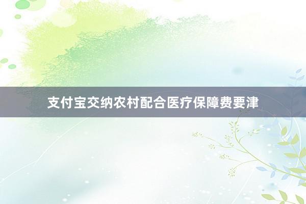 支付宝交纳农村配合医疗保障费要津
